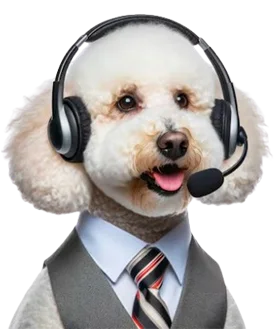 Enquiry illustration