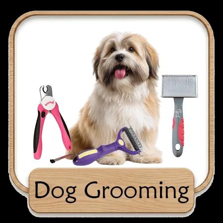 Dog Grooming