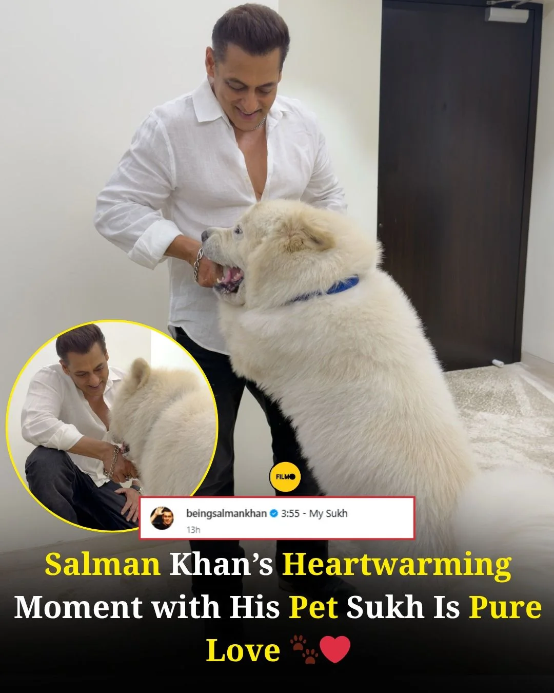 Salman Khan’s New Pet "Sukh" Wins Hearts on Social Media