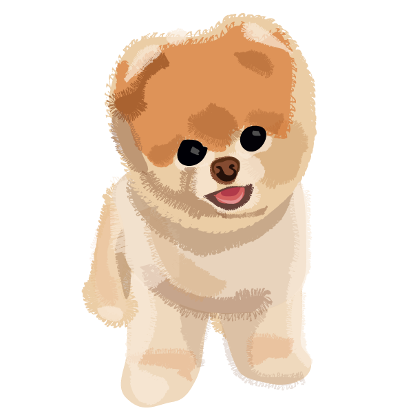 Boo Dog